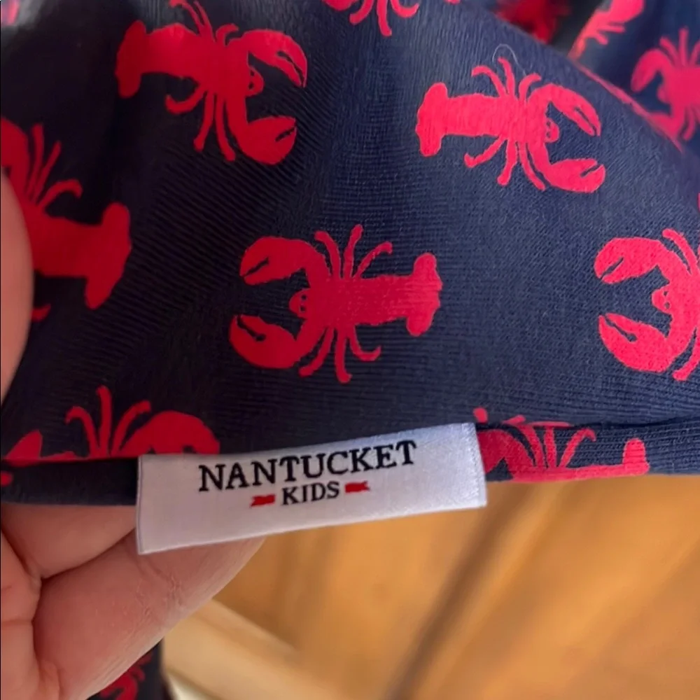 NWT NANTUCKET KIDS Navy and Red Turtleneck Lobster Print Dress